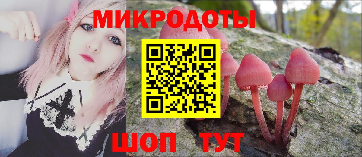 Псилоцибиновые грибы прущие грибы Беслан