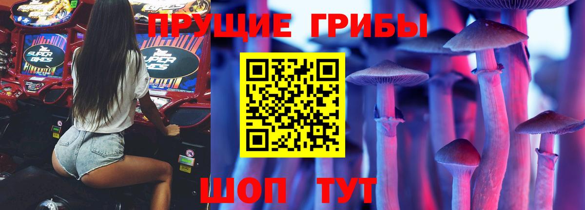 Галлюциногенные грибы MAGIC MUSHROOMS  Вход с VPN  Беслан 